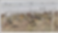 Screen Shot 2021-08-04 at 2.38.25 PM.png